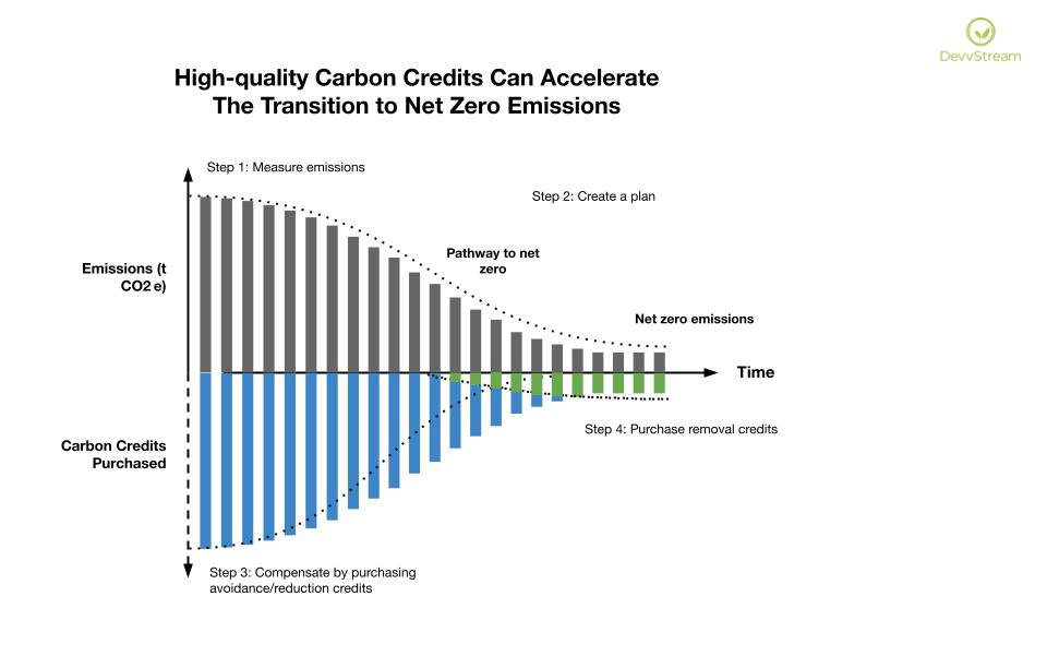 The role of high-quality carbon credits on the pathway to net zero